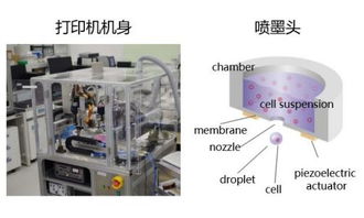 理光集團攜高科技產品進軍醫藥市場，以創新技術驅動醫療行業變革